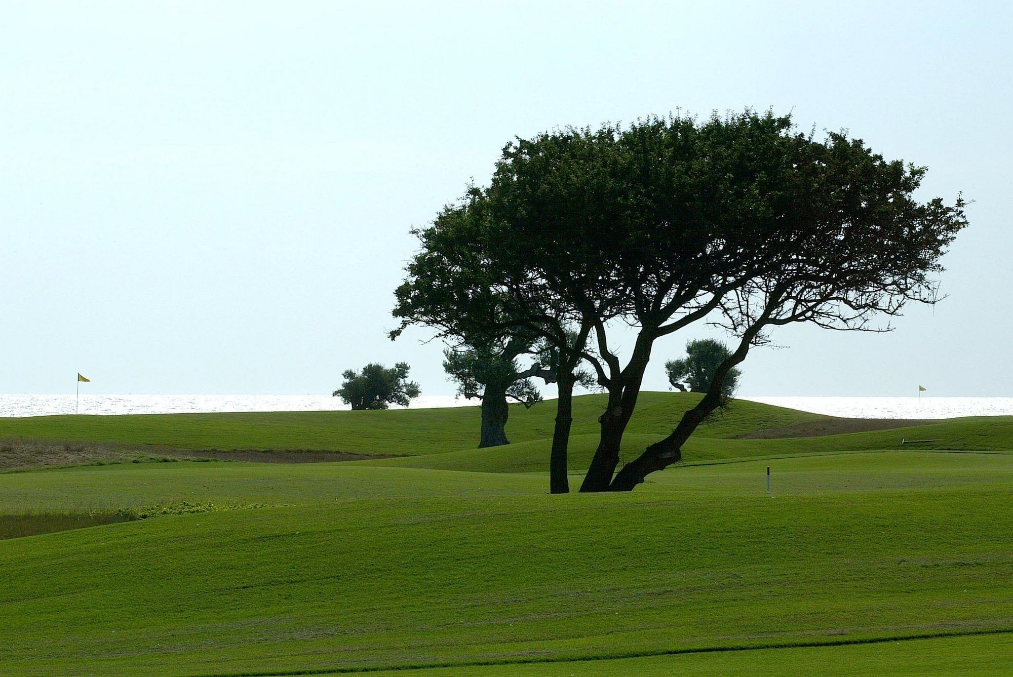 Savelletri Masseria San Domenico מראה חיצוני תמונה